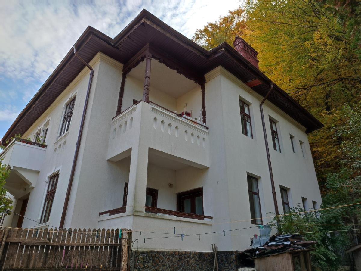 Vila Brazilor Caciulata Exterior foto